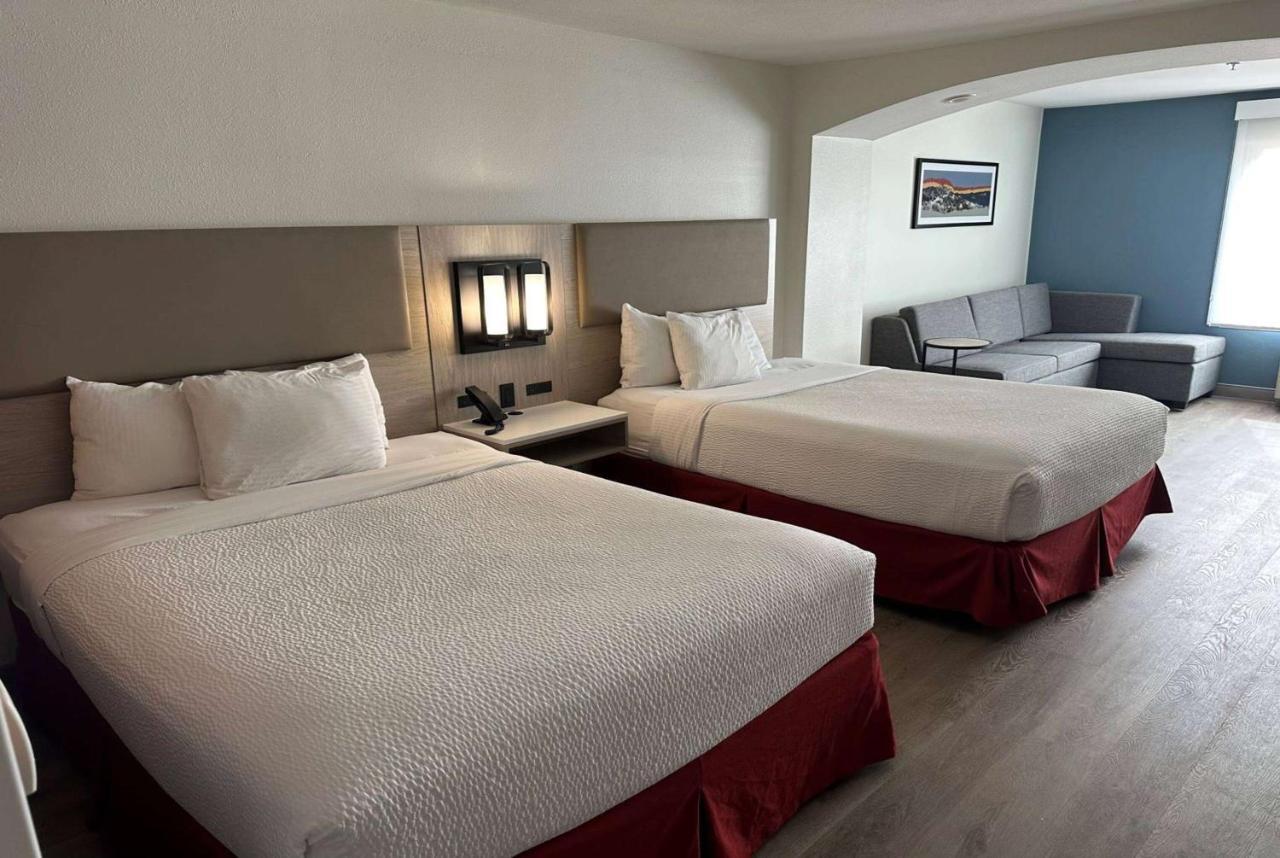 La Quinta Inn & Suites By Wyndham Albuquerque Midtown מראה חיצוני תמונה